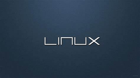 如何在Linux查找上次登录信息？-编程社