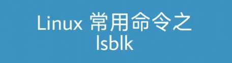 Linux lsblk命令：查看系统磁盘-编程社