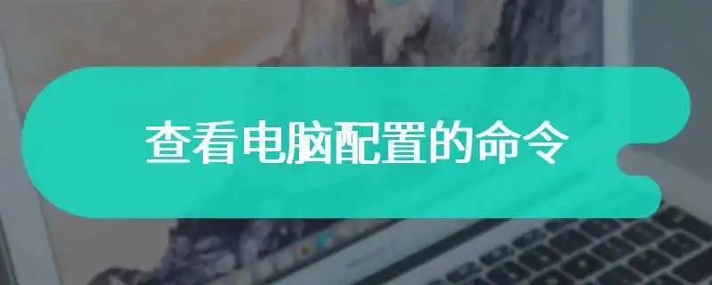 快速掌握电脑配置：Windows查看系统信息命令详解与实战指南-编程社