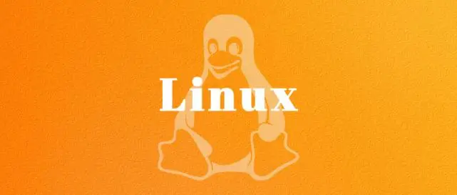 Linux fsck命令：检查并修复Linux文件系统-编程社