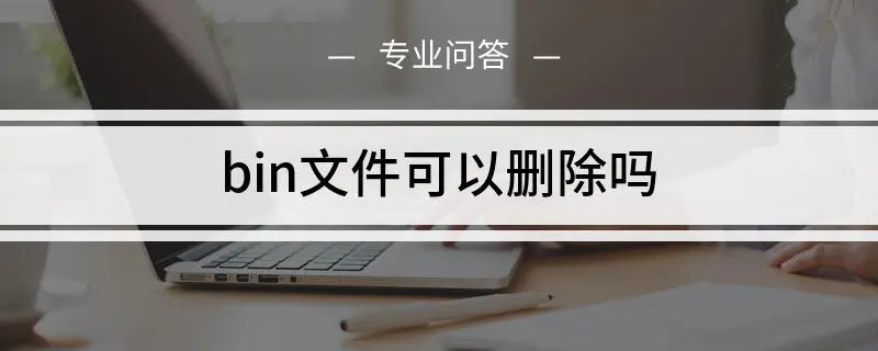 是否可以安全地删除bin文件？-编程社