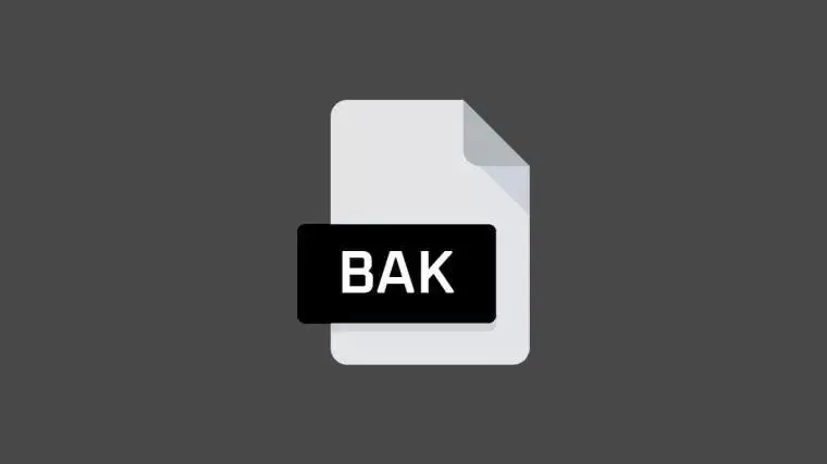 BAK文件是什么：定义、创建及恢复方法-编程社