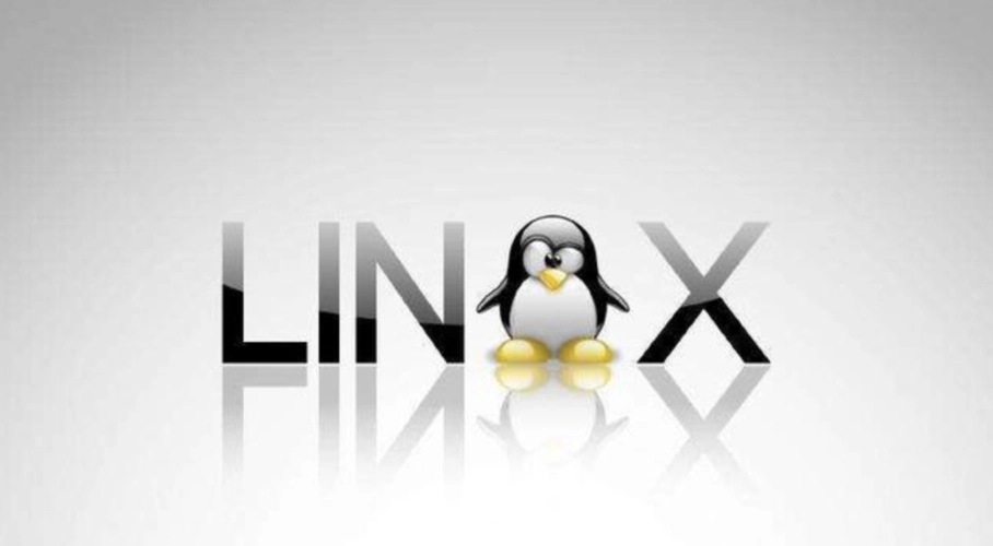 Linux如何重命名文件-编程社