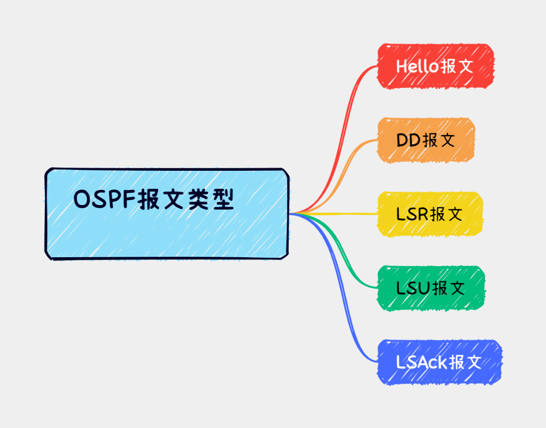 ospf报文类型有几种-编程社