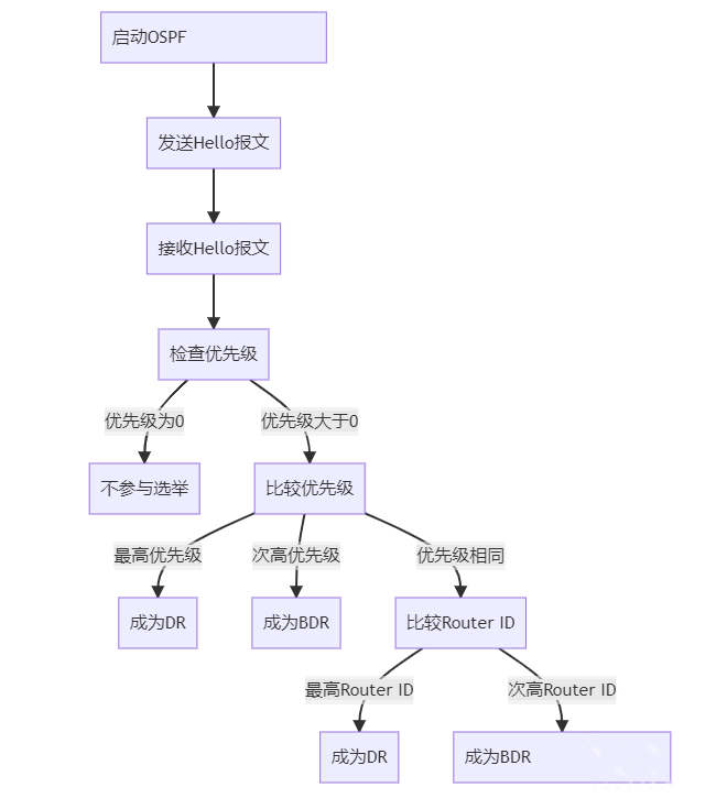 DR/BDR选举过程流程图-编程社