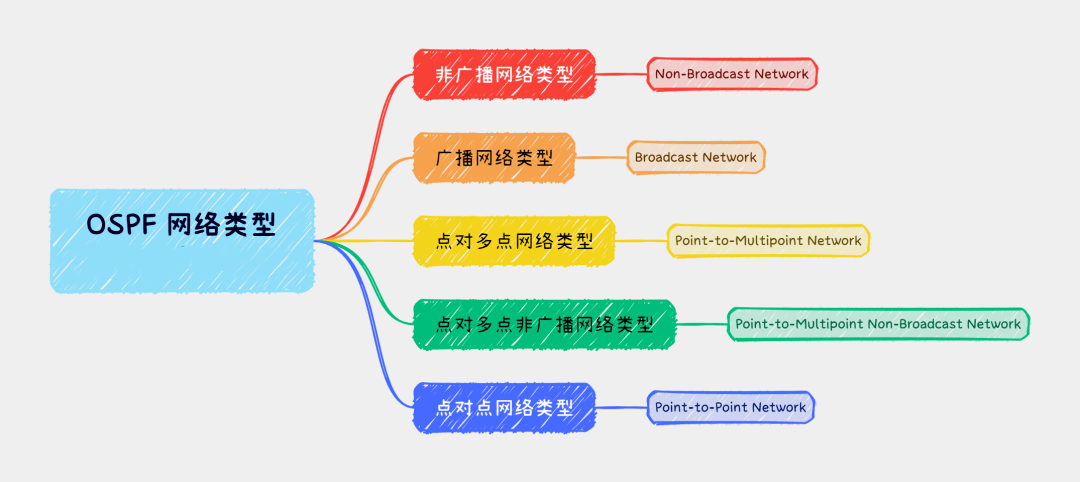 OSPF网络类型都有哪些？-编程社