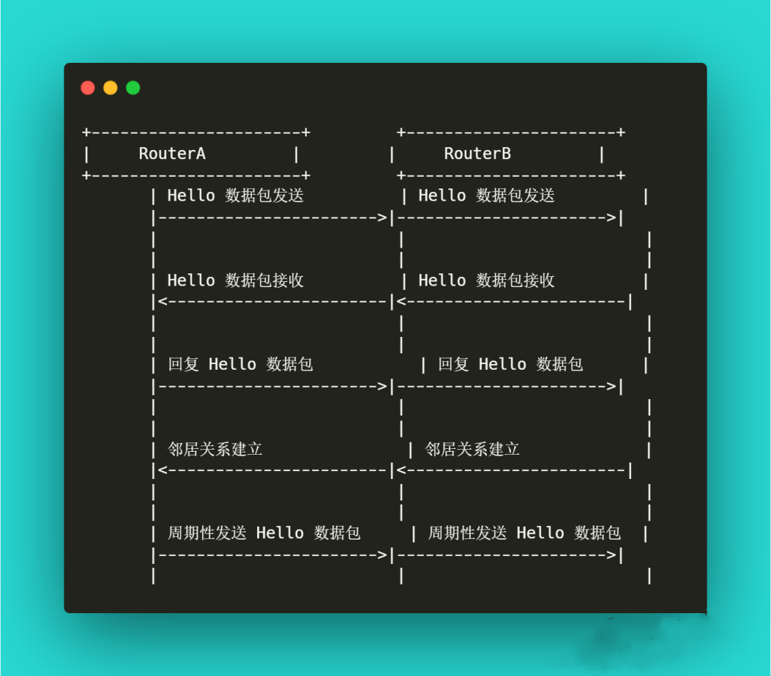 OSPF数据包交换基本流程-编程社