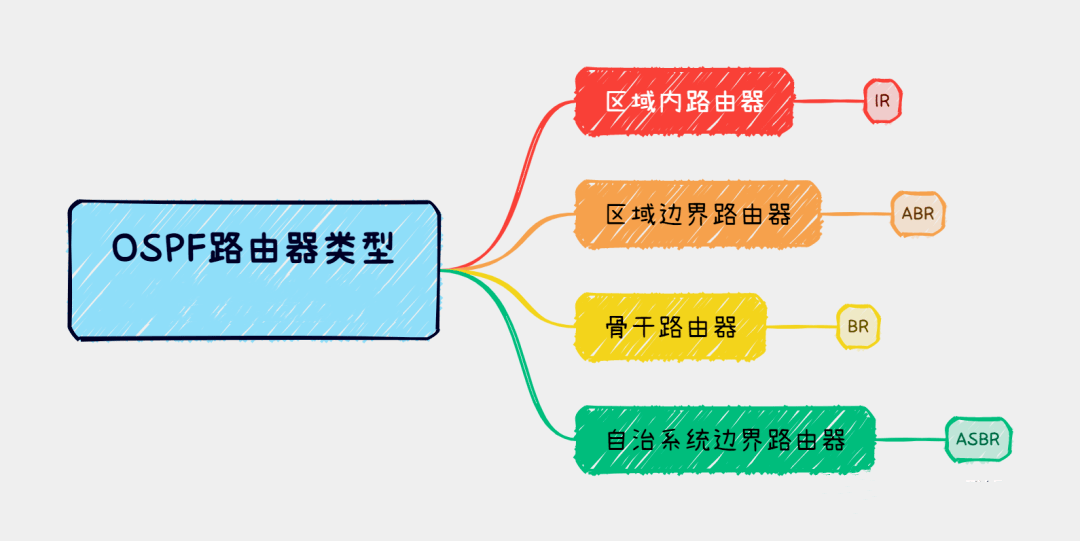 OSPF路由器类型有哪些？-编程社