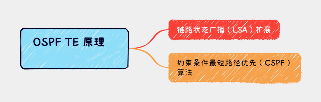 OSPF TE原理详解-编程社