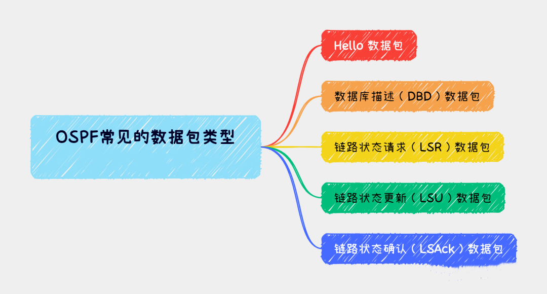 OSPF数据包类型有哪些？-编程社