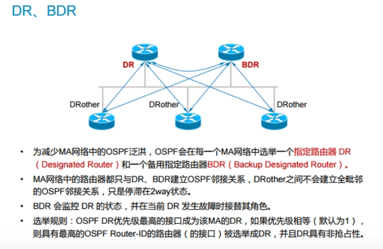 DR/BDR选举机制如何改进-编程社