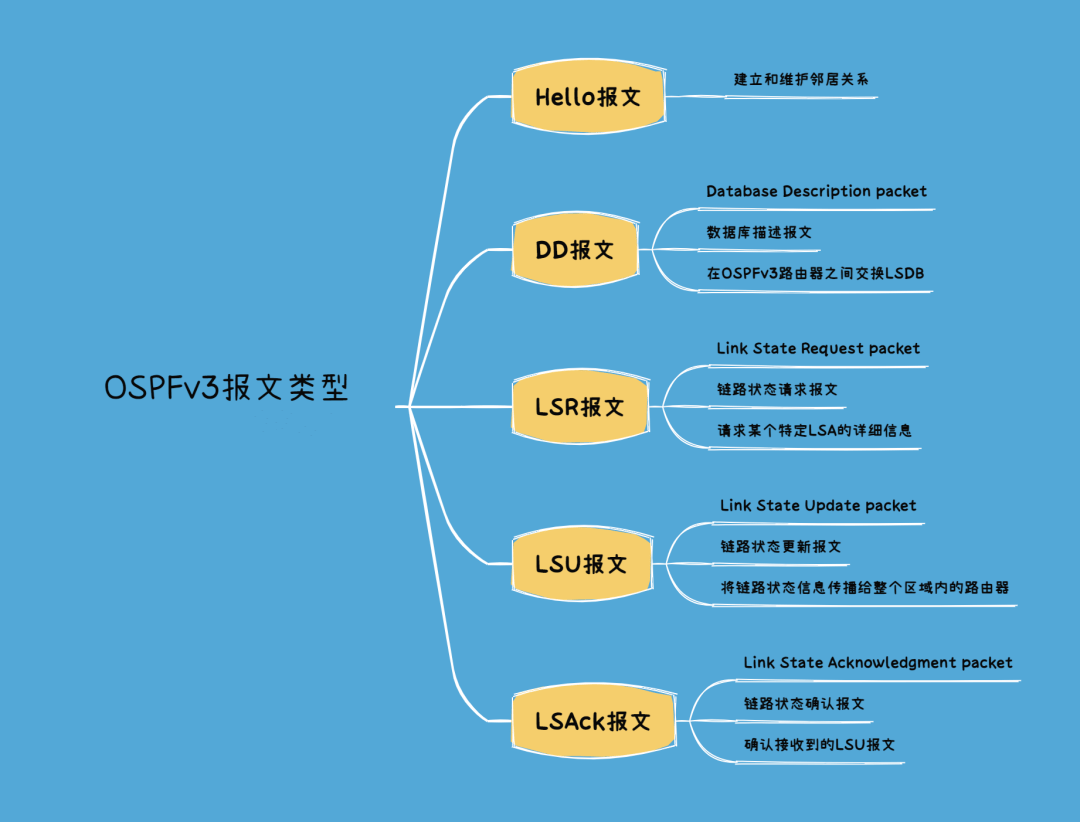 OSPFv3报文类型有哪几种以及其作用-编程社