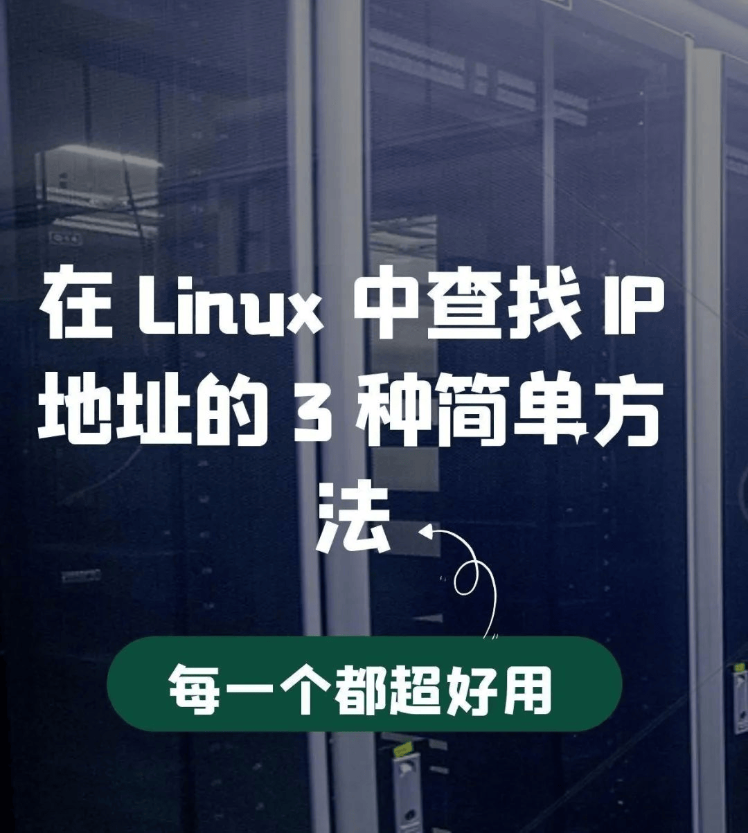 如何在Linux中查找IP地址-编程社