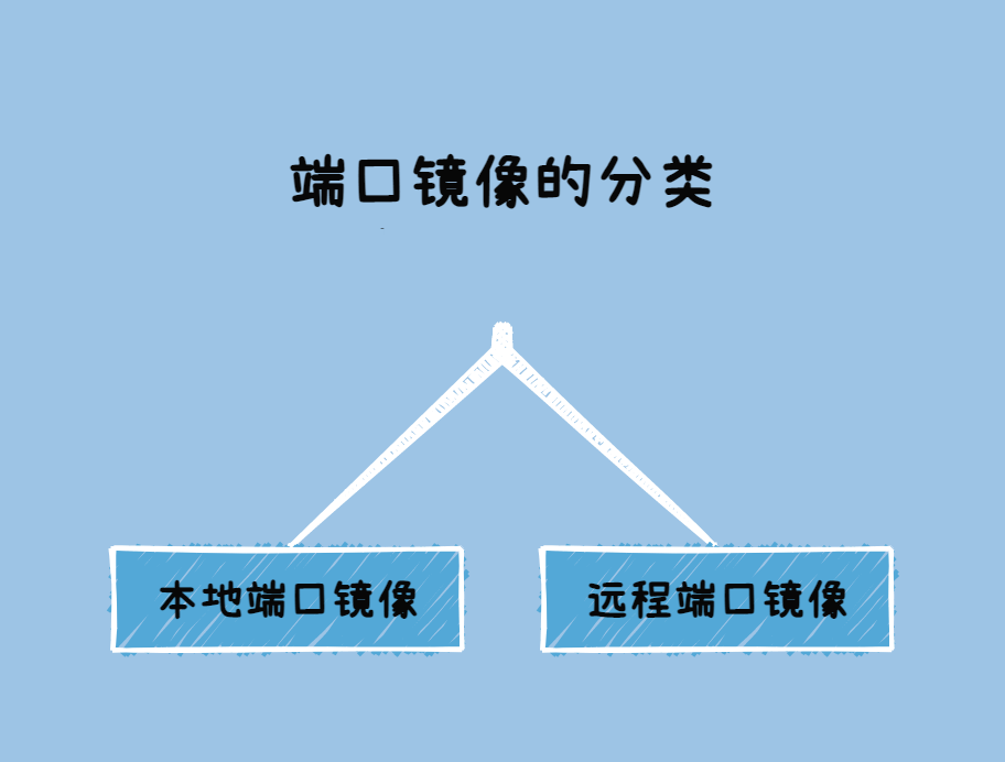 端口镜像的分类有哪些？-编程社