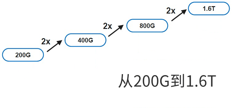 800G以太网和1.6T网络的时间表-编程社