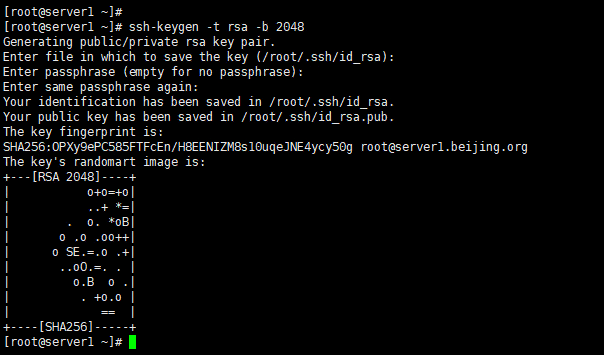 Linux如何设置ssh密钥（免密）登录-编程社