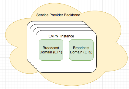 什么是EVPN和BGP EVPN-编程社