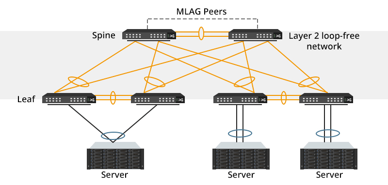 MLAG与LACP的区别-编程社