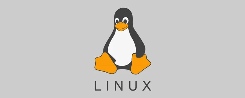 Linux查看日历命令cal详解-编程社