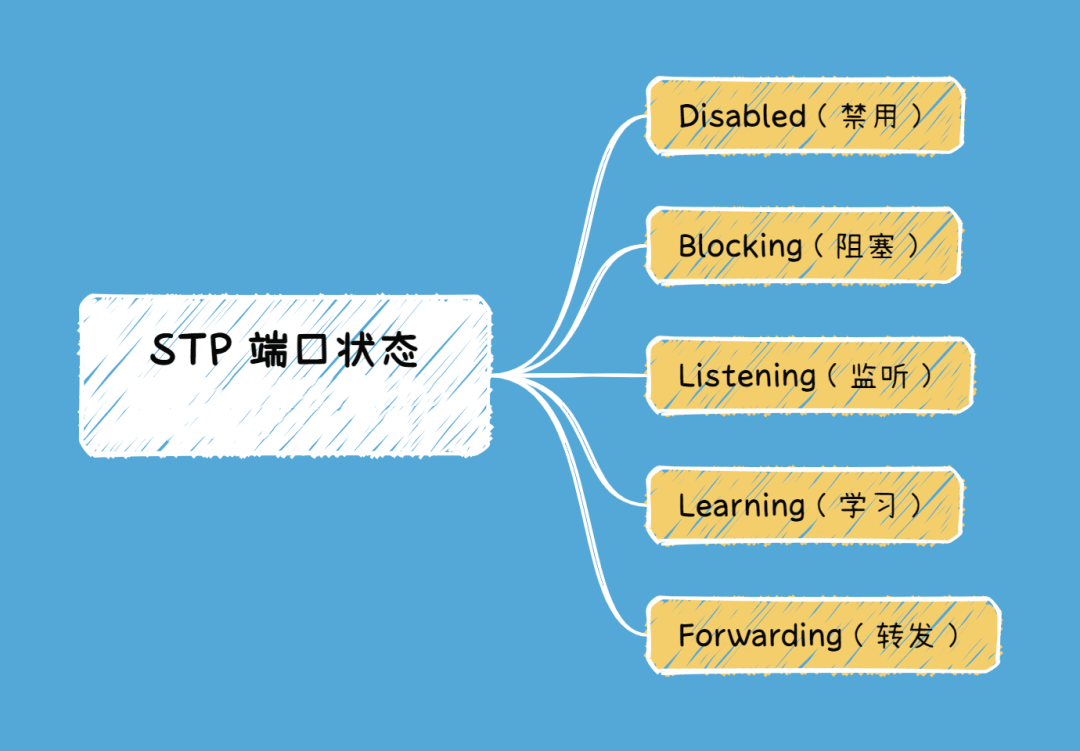 stp端口状态有哪几种-编程社