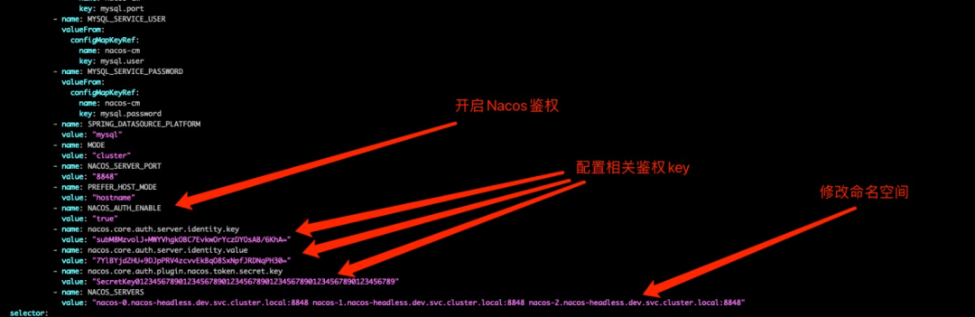 如何基于Kubernetes运行Nacos高可用集群-编程社