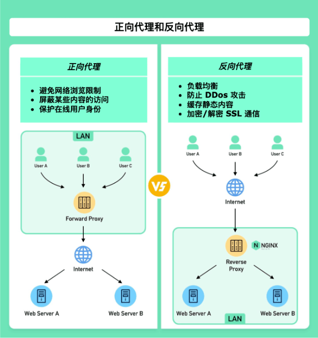 Nginx反向代理为什么叫做“反向”?-编程社