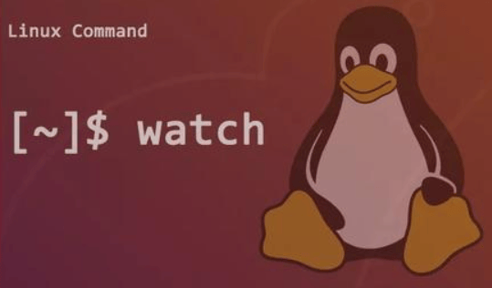 Linux watch命令及用法详解-编程社