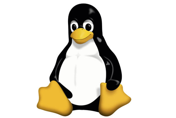 Linux网络配置与故障排除-编程社