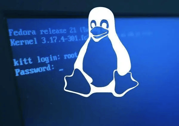 实战：运维必备Linux巡检脚本-编程社