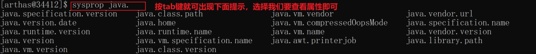 图片[4]-Arthas中JVM相关命令详解-编程社