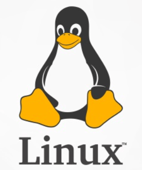 linux网卡识别顺序的绑定方法-编程社