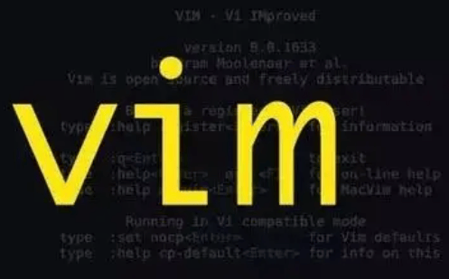 Linux小技巧：取消vim粘贴时的自动缩进-编程社